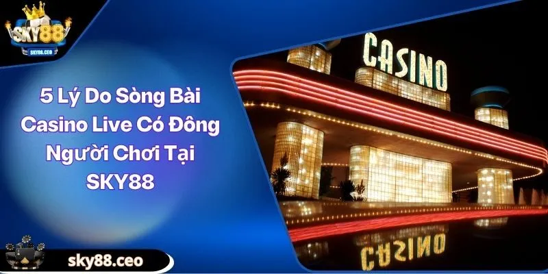 sòng bài Casino Live