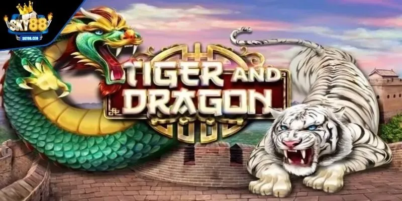 Cách chơi cơ bản Dragon Tiger cần nắm bắt