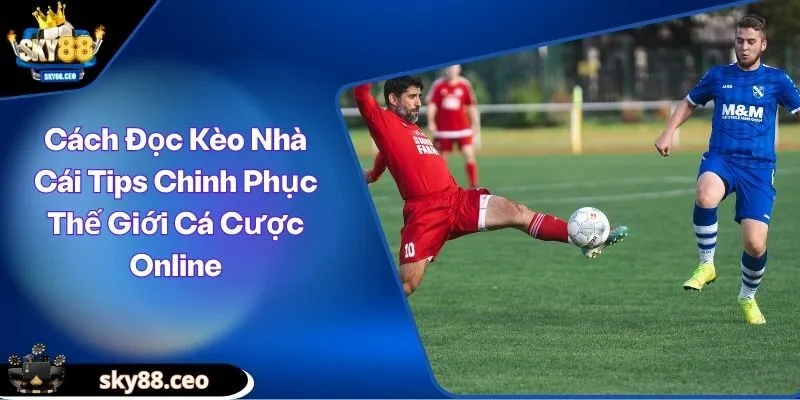 cách đọc kèo nhà cái