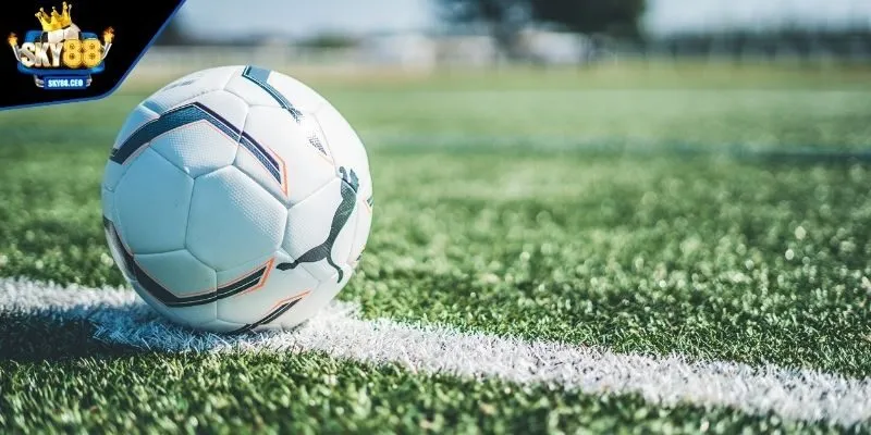 Lắng nghe học hỏi cách chơi kèo cược tài xỉu từ chuyên gia