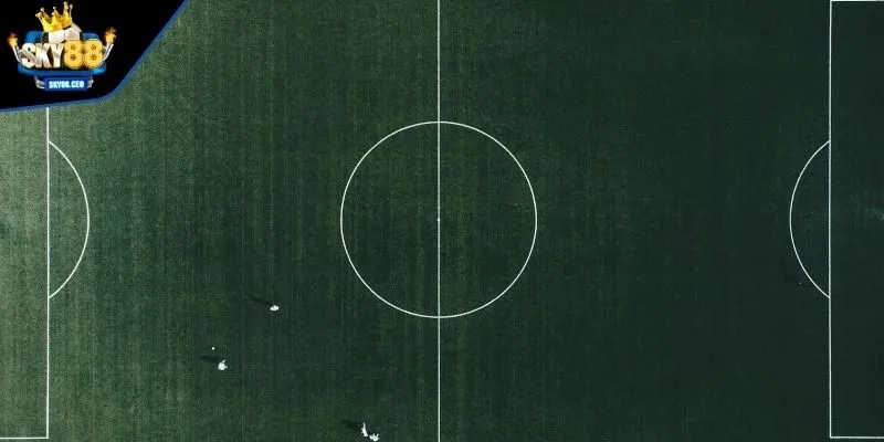 Phân tích dữ liệu chính xác, chi tiết trước khi cá cược