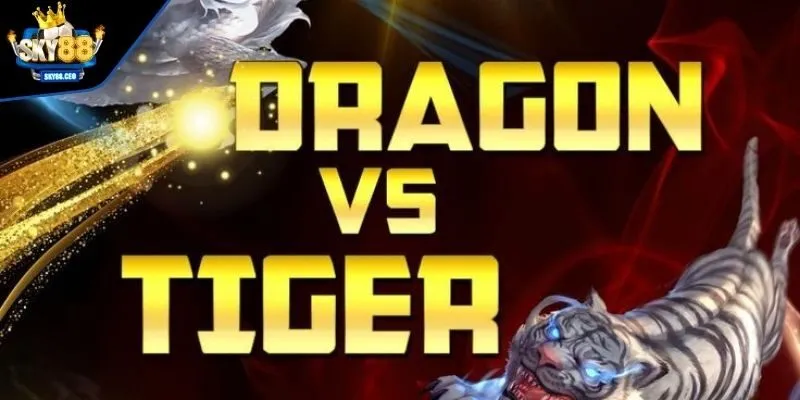 Ưu tiên đặt cược vốn cho Dragon hoặc Tiger